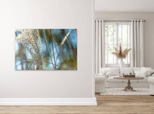 Pampas Grass in the autumn | Photography by Caroyl La Barge›. Item made of canvas with paper works with coastal & mediterranean style