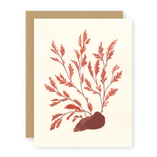Seaweed Card | Gift Cards by Elana Gabrielle. Item made of paper