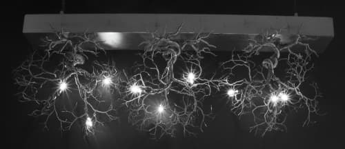 Roots Small Bar 3 | Pendants by F+M FOS - Anna Maria Fragiskos Bitros. Item composed of copper compatible with modern style