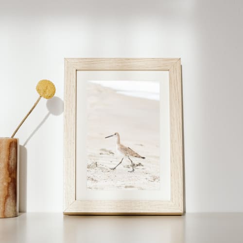 Photograph • Sandpiper, Shorebirds, Ocean, Nautical | Photography by Honeycomb. Item made of metal with paper works with coastal style