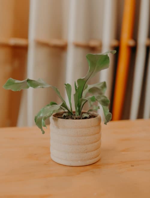 small planter ridges by Costa Mesa Ceramics Studio at Costa Mesa