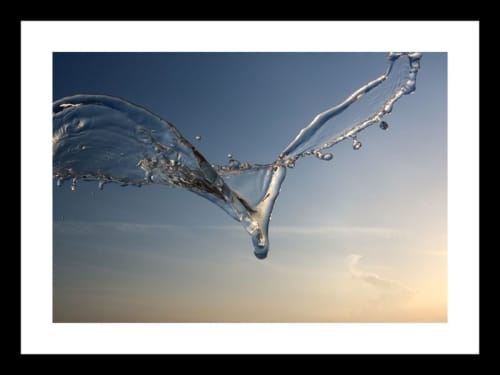 WaterWings | Photography by Rick Garcia. Item composed of paper