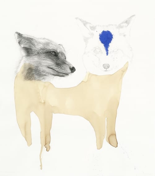 Fox Drawing | Oil And Acrylic Painting in Paintings by Meagan Donegan. Item composed of paper