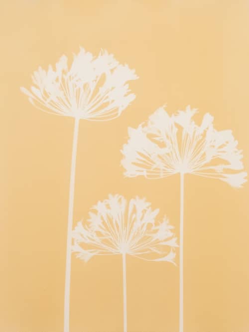 Three Yellow Agapanthus: 18x24" Original monotype /cyanotype | Etching in Paintings by Christine So