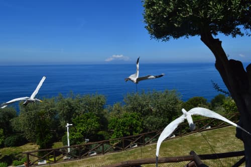 GABBIANI | Public Sculptures by CARMINE REZZUTI | Art Hotel Villa Fiorella in Massa Lubrense. Item composed of wood