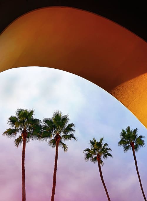 Harvey Girls | Photography by Reed Hearne / Digital Art