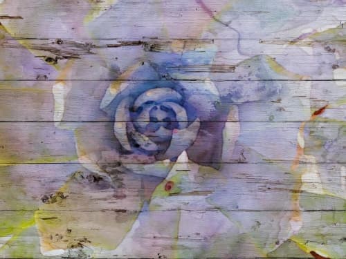 Frosted gem succulent flower | Oil And Acrylic Painting in Paintings by Irena Orlov. Item made of canvas