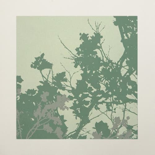 OutGrow #6 | Prints by Phillip Hua. Item made of paper