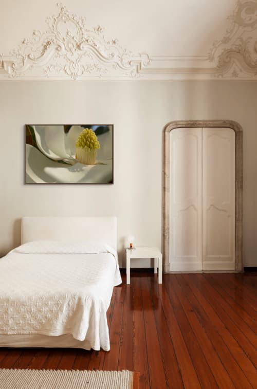Fred's Magnolia Digital-only offering exclusively for Trade | Photography by Caroyl La Barge›. Item composed of canvas & paper compatible with contemporary and country & farmhouse style