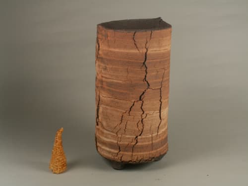 Cmt-3 | Planter in Vases & Vessels by COM WORK STUDIO