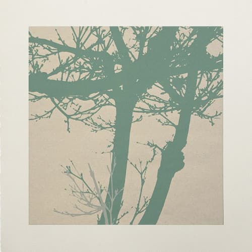 OutGrow #3 | Prints by Phillip Hua. Item made of paper