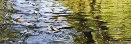 RicaBelna_Water_100206_panorama | Oil And Acrylic Painting in Paintings by Rica Belna. Item made of canvas