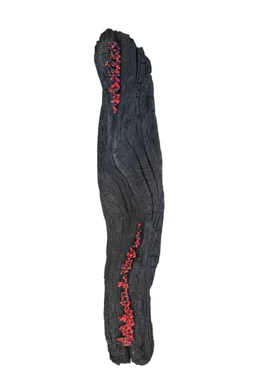 Bloody Consumption III | Wall Sculpture in Wall Hangings by Forlano Design. Item composed of wood in contemporary style