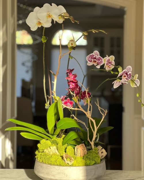 Orchid Arrangement | Floral Arrangements by Fleurina Designs