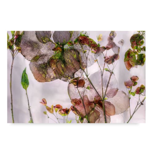 CHAMELEON (18"x12" — 72"x48") | Surreal Gardens | Wall Art | Digital Art in Art & Wall Decor by Jess Ansik. Item composed of metal and paper in boho or eclectic & maximalism style