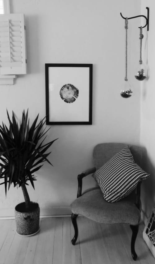 Lodge Pole Pine Tree Ring Print, Utah | Prints by Erik Linton. Item made of paper