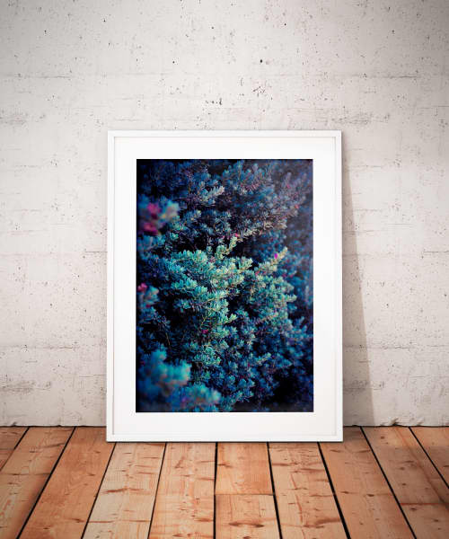 Spring | Limited Edition Print | Photography by Tal Paz-Fridman | Limited Edition Photography. Item made of paper works with country & farmhouse & coastal style