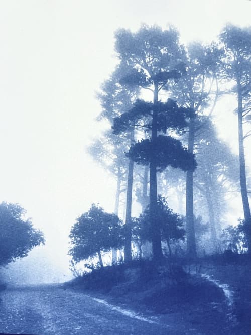 Caminante No Hay Camino: 24x18" unframed handmade cyanotype | Photography by Christine So. Item composed of paper in country & farmhouse or rustic style