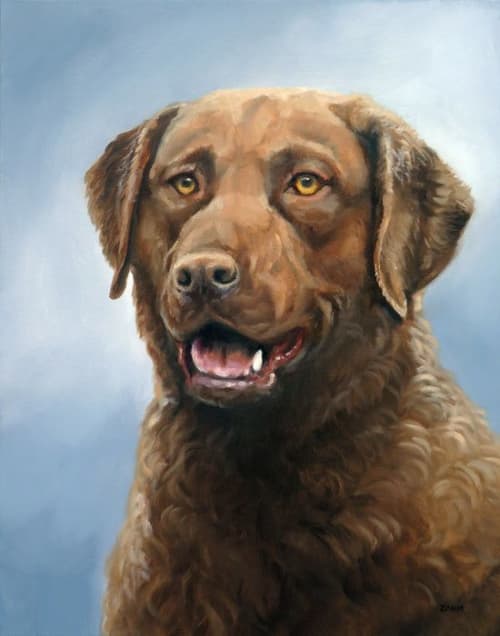 Chesapeake Bay Retriever Portrait | Oil And Acrylic Painting in Paintings by Paws By Zann Pet Portraits. Item composed of paper