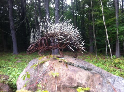 Porcupine, Hystrix Cristata | Public Sculptures by Wendy Klemperer Art Inc. Item made of steel