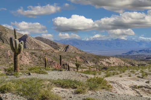 Cactus, Clouds and Mountains of Argentina | Photography by Richard Silver Photo. Item composed of paper compatible with contemporary and country & farmhouse style
