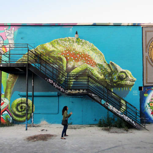 The chameleon | Street Murals by Anat Ronen | Houston in Houston