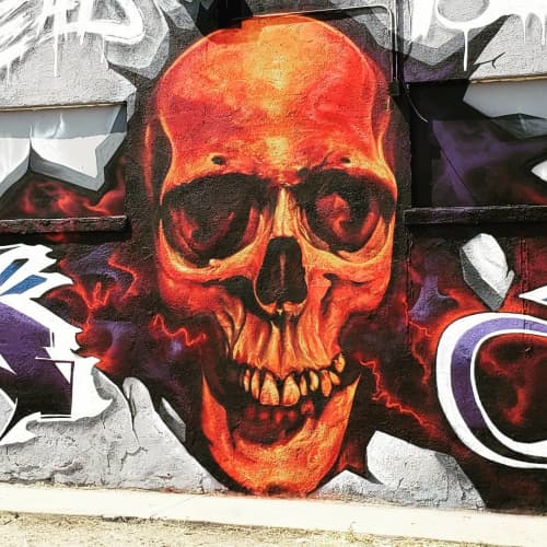 Skull | Street Murals by SRIL ART