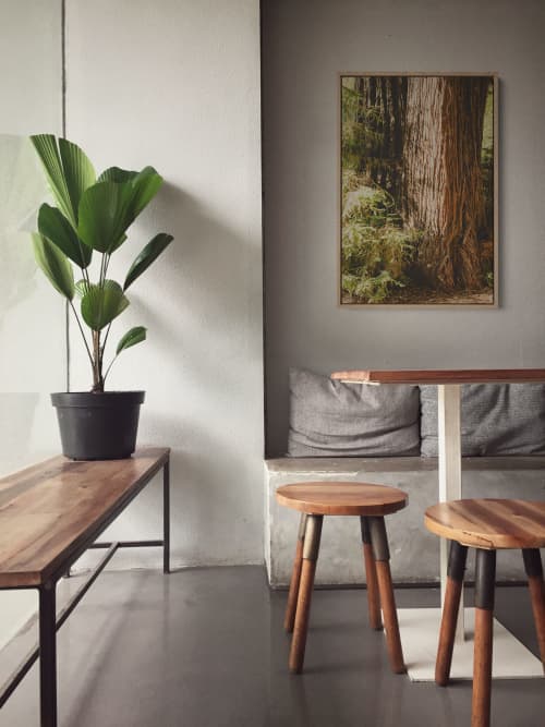 Big Sur Redwoods | Photography by Kara Suhey Print Shop. Item made of paper