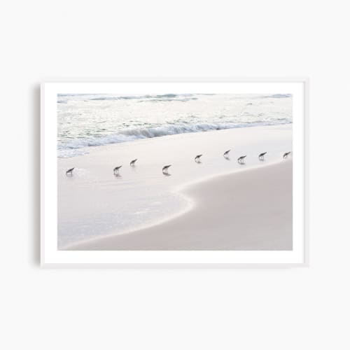 Minimalist beach photograph, 'Sanderlings' sandpiper print | Photography by PappasBland. Item made of paper compatible with minimalism and contemporary style