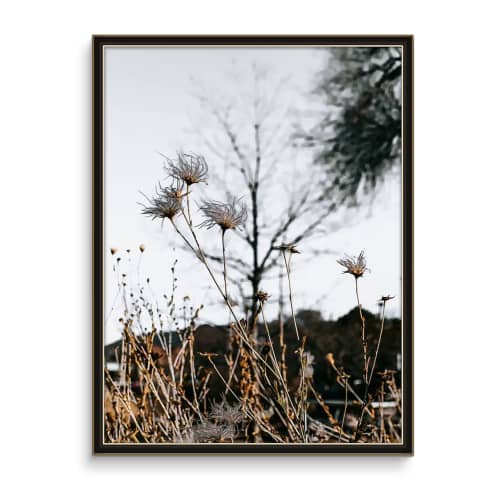 STRAGGLERS (9"x12" - 36"x48") | Wall Art | Fine Art Print | Photography by Jess Ansik. Item composed of paper in boho or minimalism style