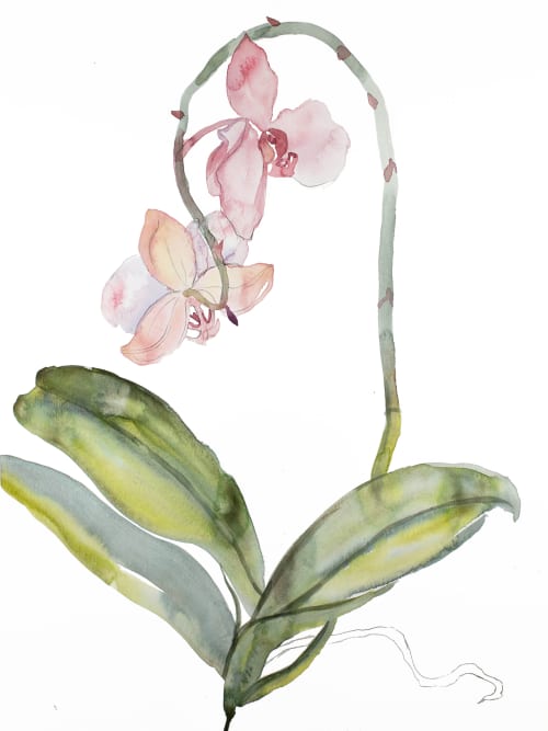 Orchid No. 9 : Original Watercolor Painting | Paintings by Elizabeth Becker. Item composed of paper in minimalism or contemporary style