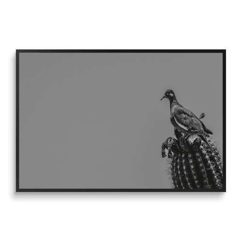 PERCH | Minimalist Wall Art | Monochrome Print | Photography by Jess Ansik. Item composed of paper in boho or minimalism style