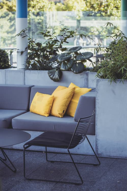 Box Cafe - Cushions | Pillows by Emma Hayes | Box Café and Bar in Auckland. Item composed of cotton