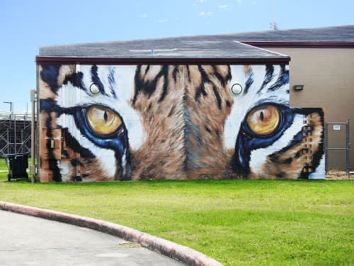 Eyes of the tiger | Street Murals by Anat Ronen | Texas Southern University in Houston