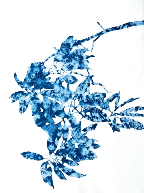 Spring Madrone V (30 x 22" cyanotype painting on paper) | Watercolor Painting in Paintings by Christine So. Item made of paper works with boho & country & farmhouse style