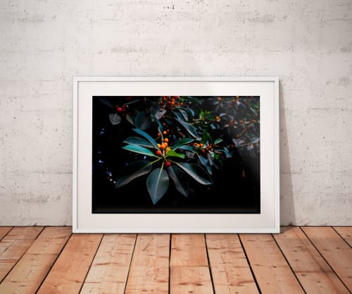 Orange, Green and Dark | Limited Edition Print | Photography by Tal Paz-Fridman | Limited Edition Photography. Item composed of paper in country & farmhouse or modern style