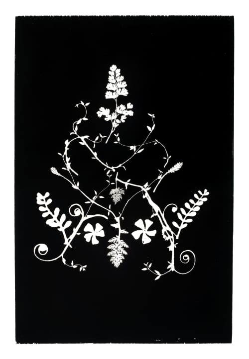 Botanical Collage II | Prints by Erik Linton. Item composed of paper