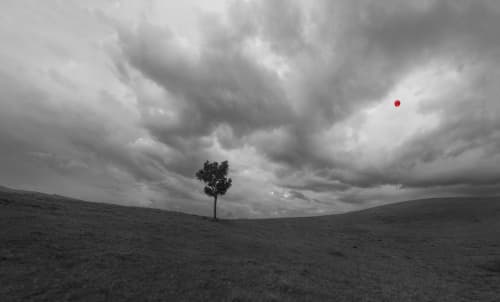 Elevation – Fine Art Photography | Photography by ANDRES GALAN. Item composed of canvas and aluminum in contemporary or modern style