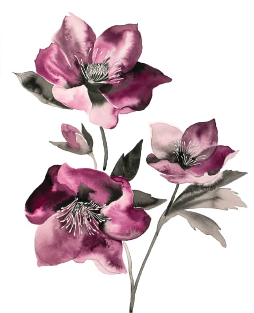 Hellebore No. 37 : Original Ink Painting | Paintings by Elizabeth Beckerlily bouquet. Item composed of paper in boho or minimalism style