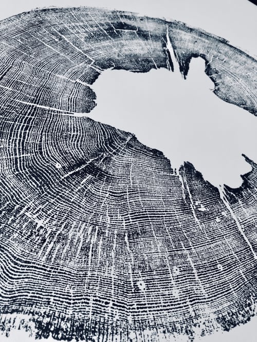 Iowa Oak. Original woodcut print on 24x36 inch Paper | Prints by Erik Linton. Item made of paper