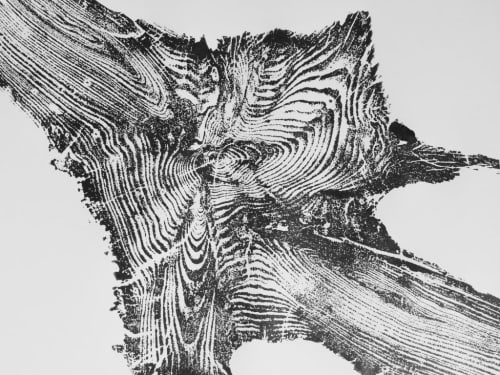 Yellowstone Tree Roots | Prints by Erik Linton. Item composed of paper in rustic style