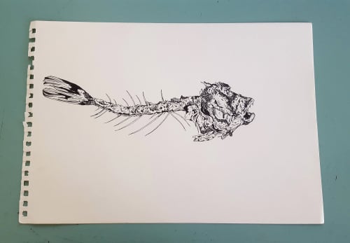 Big Fish Bones of the Andaman Sea | Drawings by Chrysa Koukoura. Item composed of paper