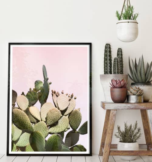 Prickly Pear Cactus on Pink | Photography by Capricorn Press. Item composed of paper