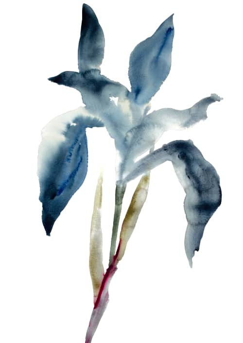 Iris No. 44 : Original Watercolor Painting | Paintings by Elizabeth Beckerlily bouquet. Item composed of paper compatible with minimalism and contemporary style