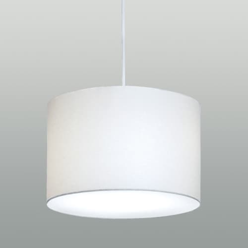 Drum Pendant | Pendants by ILEX Architectural Lighting | Brown University in Providence