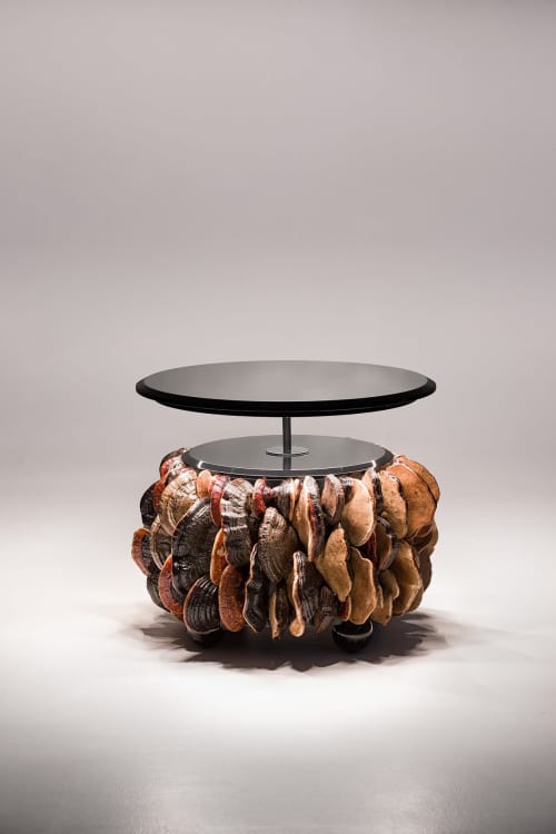 Center table Mushrooms | Coffee Table in Tables by PANOPTIKUM COLLECTIONS. Item made of wood & metal compatible with contemporary and modern style
