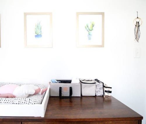 Cactus/Succulent Prints | Prints by Kristine Brookshire Art. Item made of paper