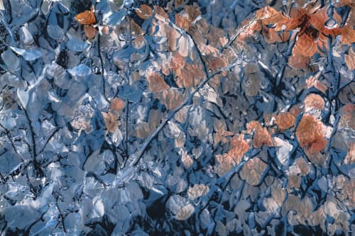 FEBRUARY (18"x12" — 60"x40") | Wall Art | Fine Art Print | Digital Art in Art & Wall Decor by Jess Ansik. Item made of metal with paper works with transitional style