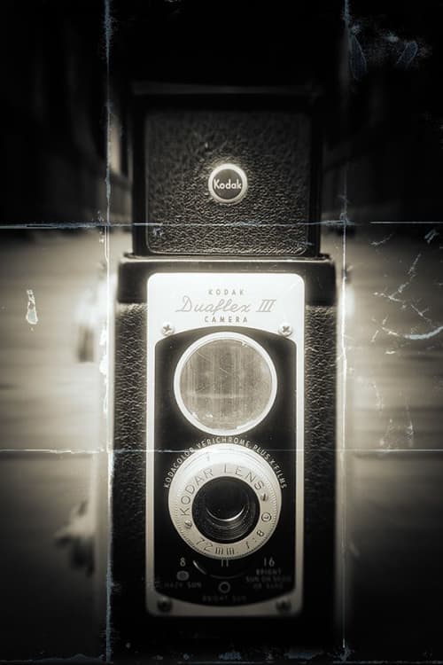 Captured 4 | Photography by Pam Moxley Mixed Media