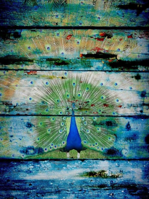 Peacock 2 | Oil And Acrylic Painting in Paintings by Irena Orlov. Item made of canvas & synthetic